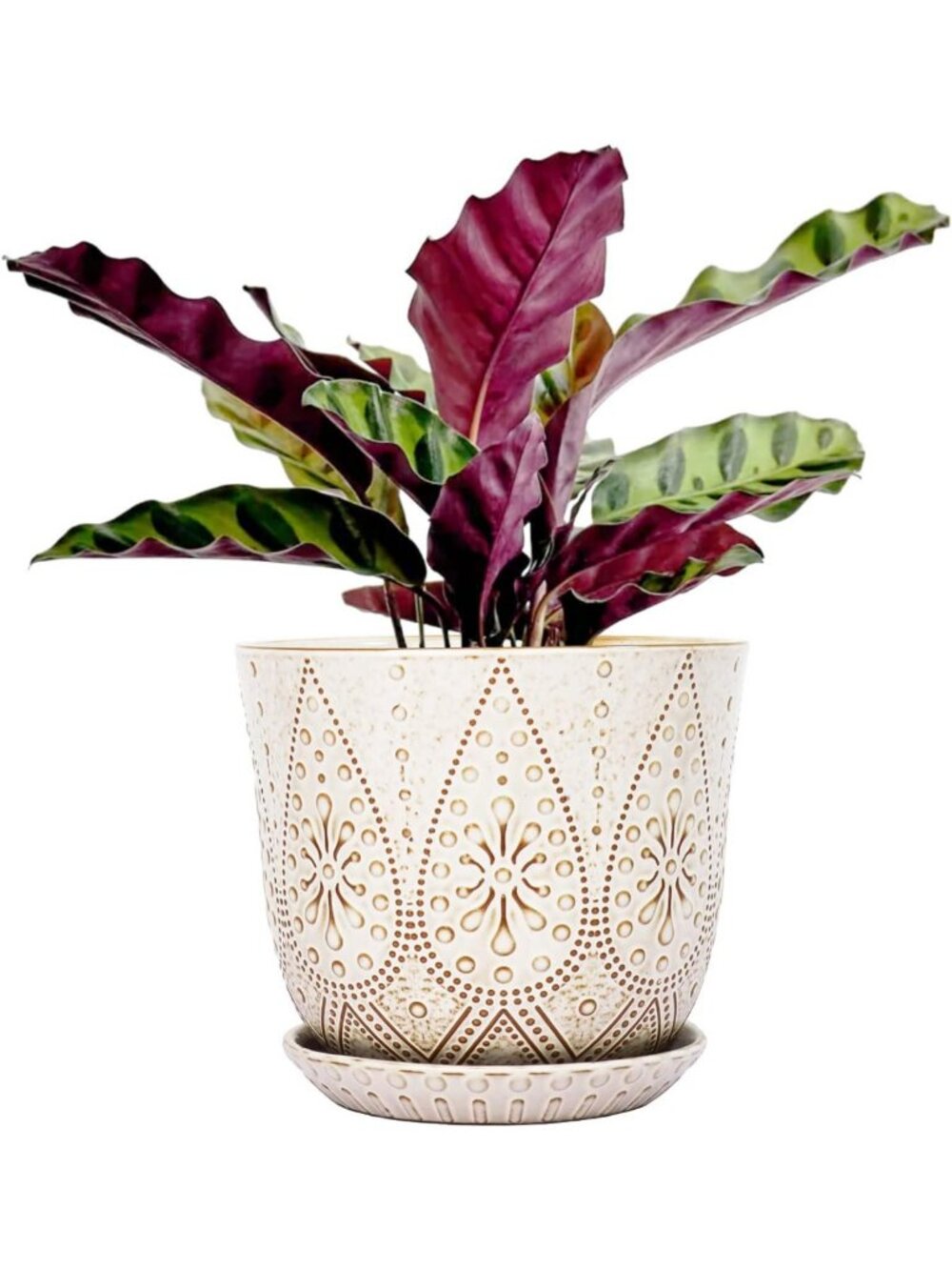 8-Inch White Ceramic Plant Pot with Drainage & Saucer - Perfect for Indoor